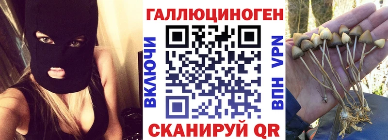 Псилоцибиновые грибы Psilocybe  Купить закладки  Пенза 